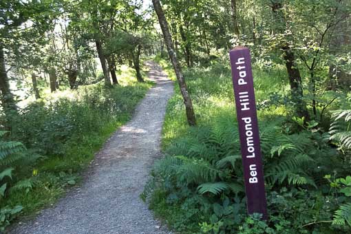 Walk Ben Lomond