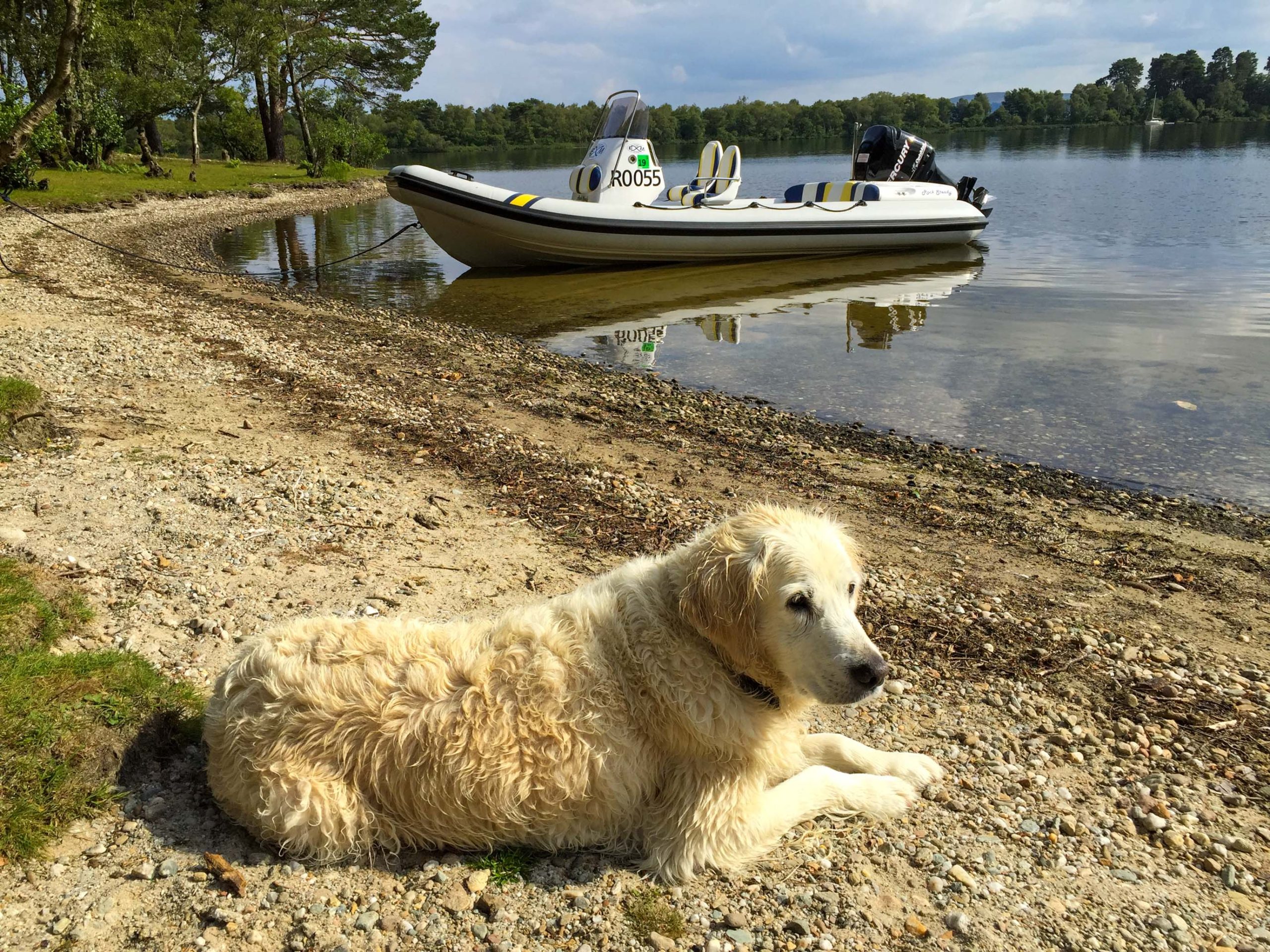 pet-friendly-loch-lomond-3