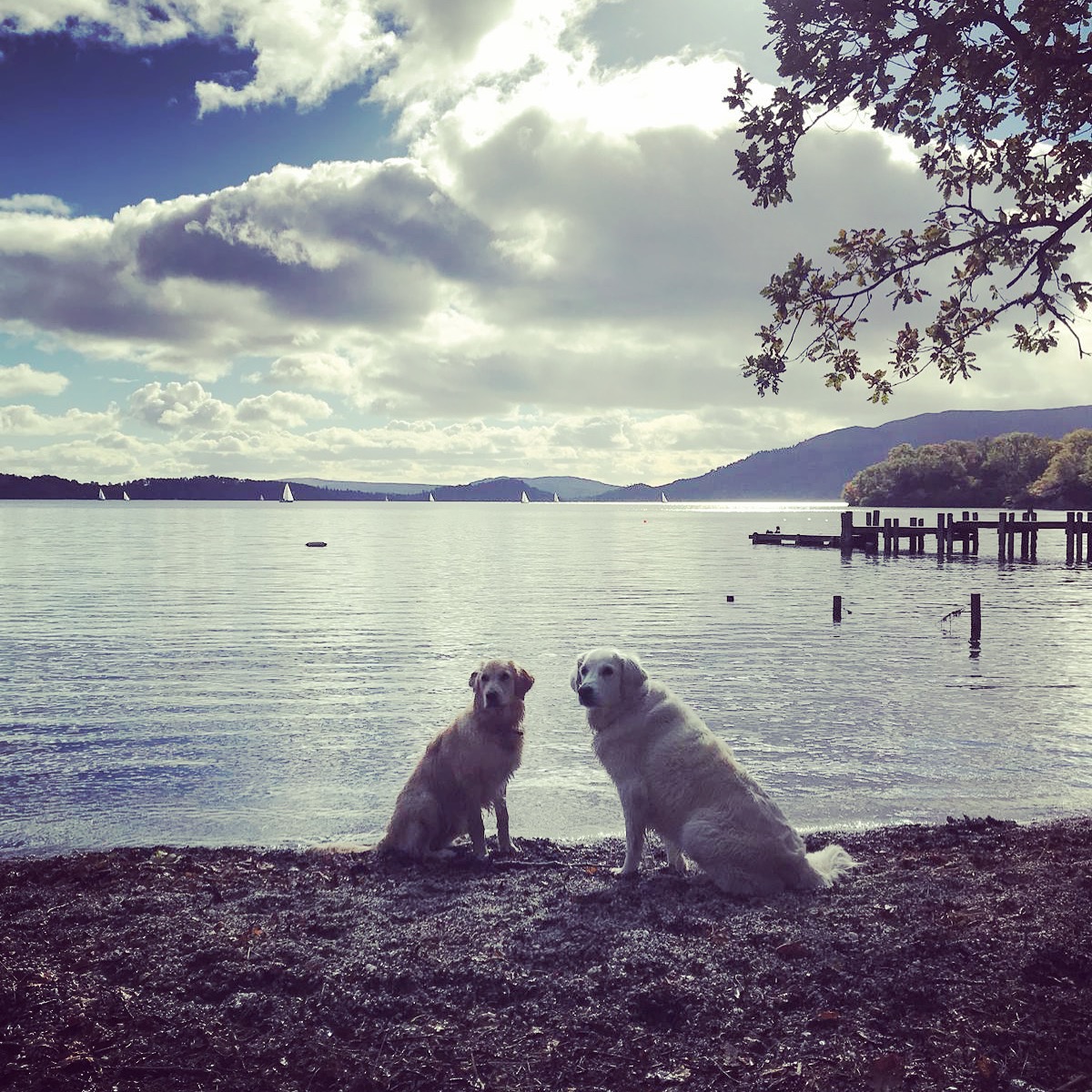 Ranger information at Rowardennan